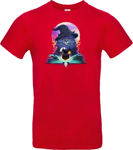 Cat Wizard