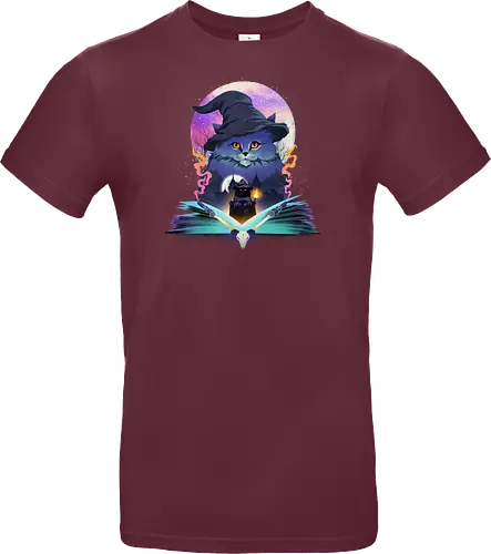 Cat Wizard