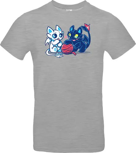 Light and Night Dragon Cats
