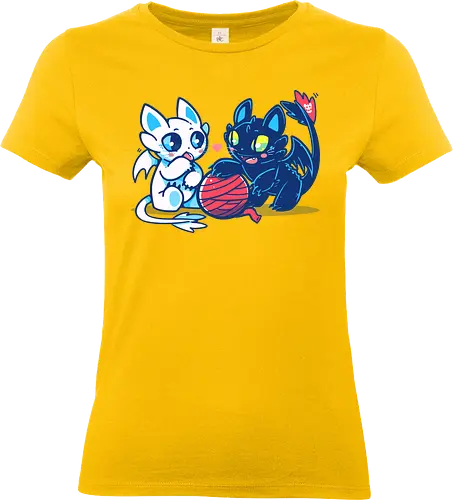 Light and Night Dragon Cats