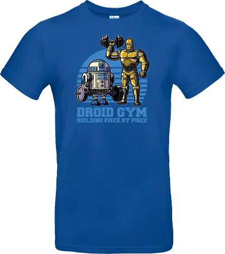 Droid Gym