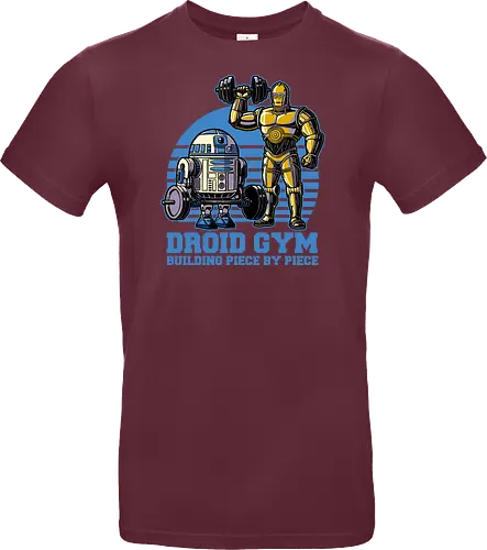Droid Gym
