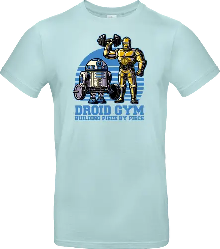 Droid Gym
