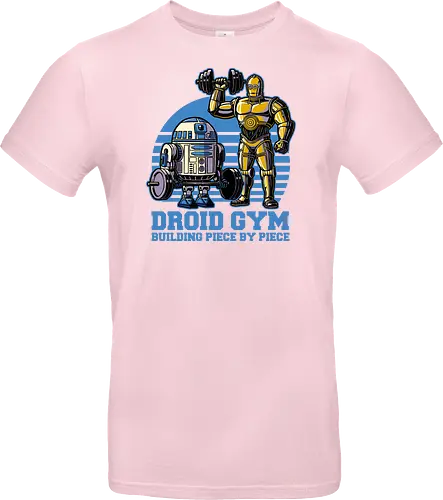 Droid Gym