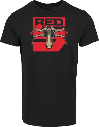 Red Spaceship Evolution