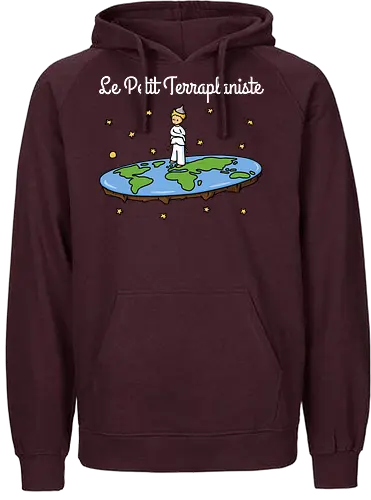 Le Petit Terraplaniste - scheibe, prinz, prince, flat rth, flatrther - Fairtrade Hoodie