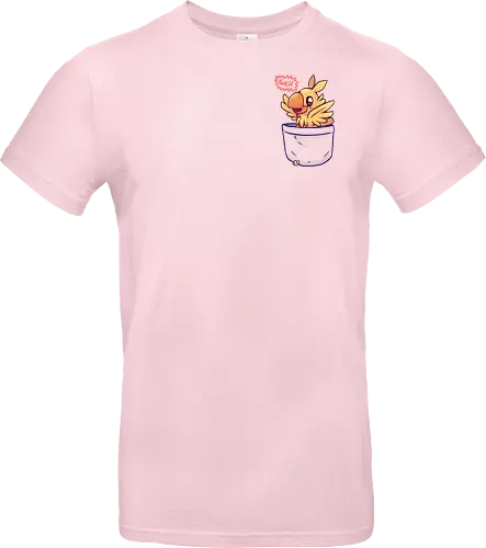 Bird in your Pocket