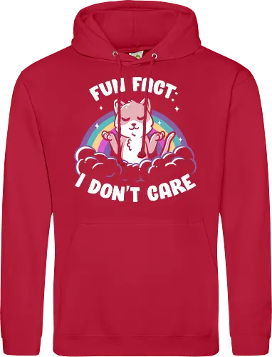 Fun Fact I Dont Care