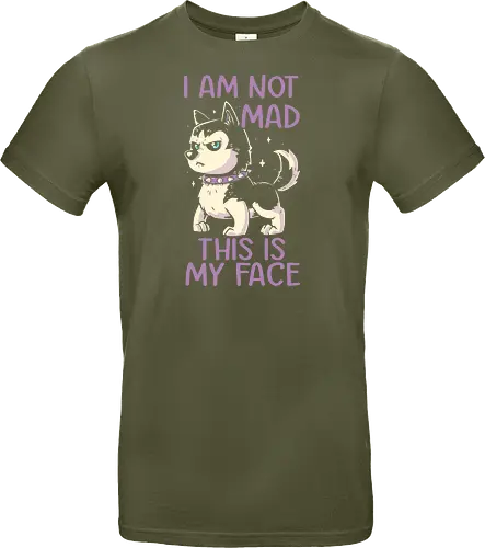 I Am Not Mad This Is My Face