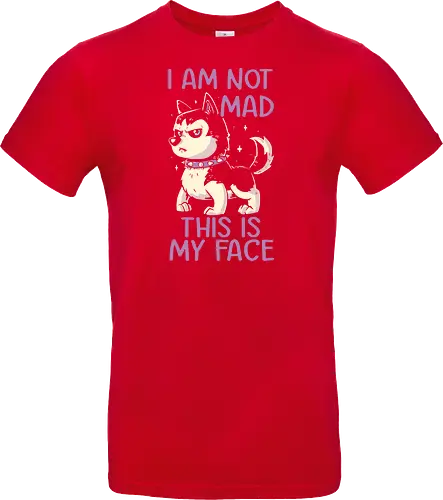 I Am Not Mad This Is My Face