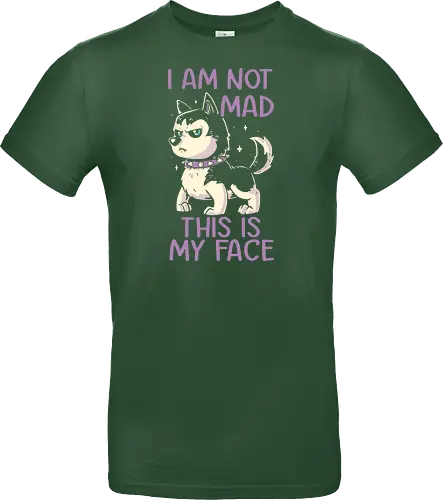 I Am Not Mad This Is My Face