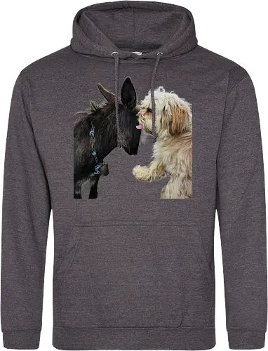 Donkey my Ass