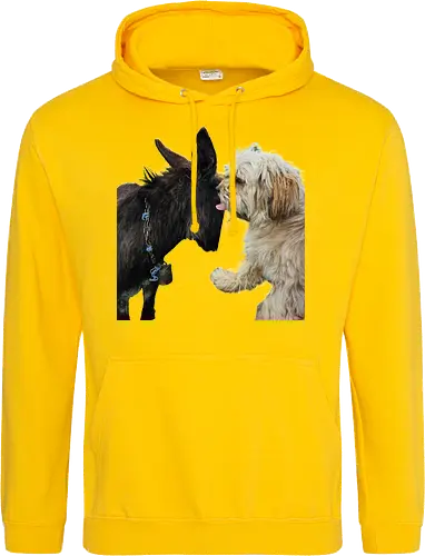 Donkey my Ass