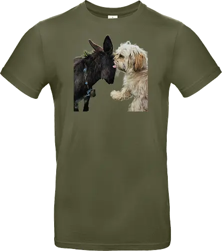 Donkey my Ass