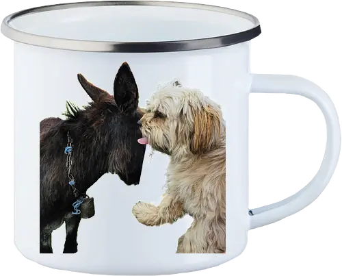 Donkey my Ass