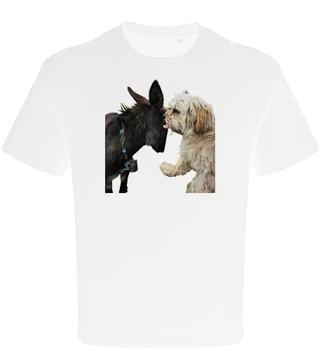Donkey my Ass