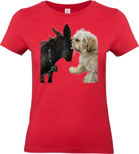 Donkey my Ass - Standard T-Shirt (Women)