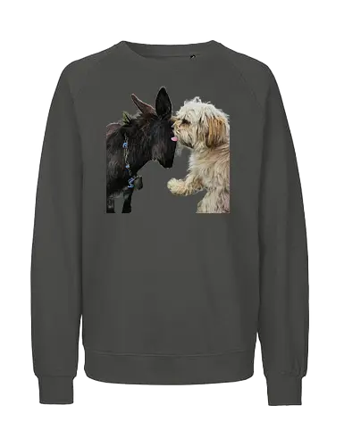 Donkey my Ass - Fairtrade Sweatshirt