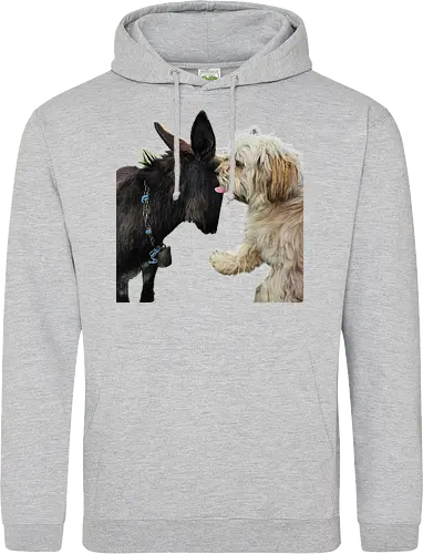 Donkey my Ass