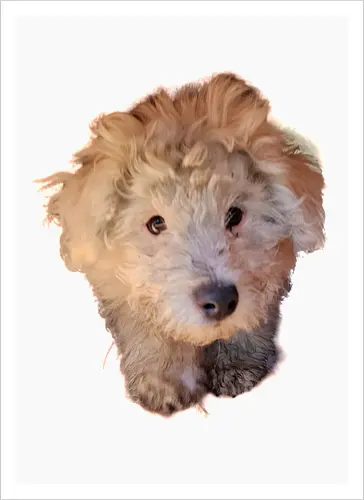 Aaaaaaw
