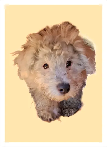 Aaaaaaw