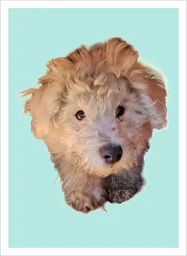 Aaaaaaw