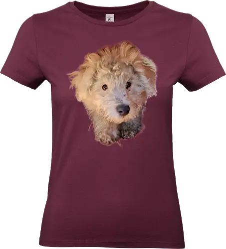 Aaaaaaw - Standard T-Shirt (Women)