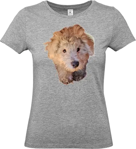 Aaaaaaw - Standard T-Shirt (Women)