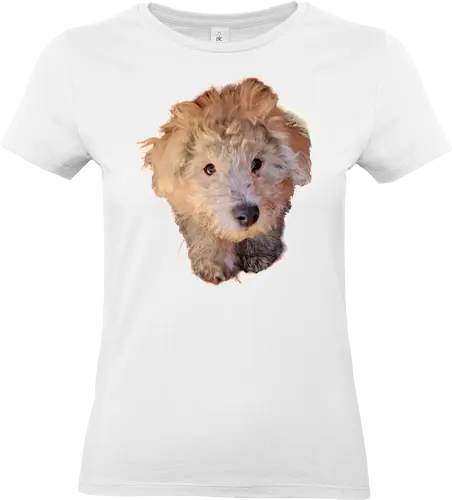 Aaaaaaw - Standard T-Shirt (Women)