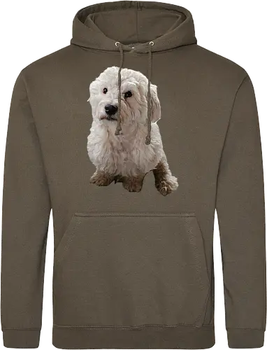 Gimme Gimme