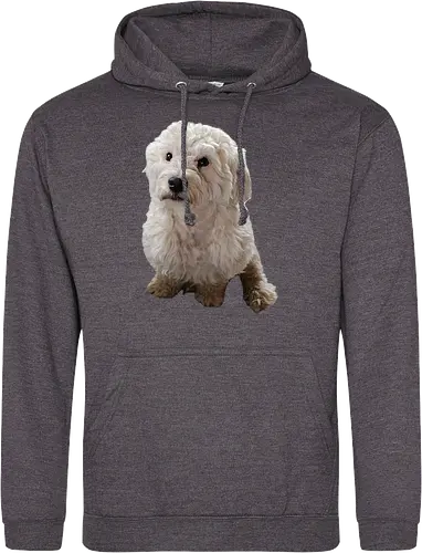 Gimme Gimme