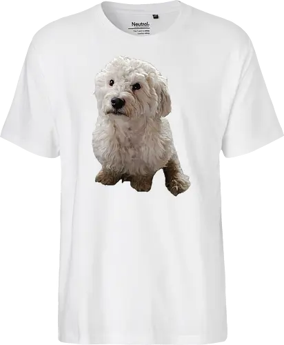 Gimme Gimme
