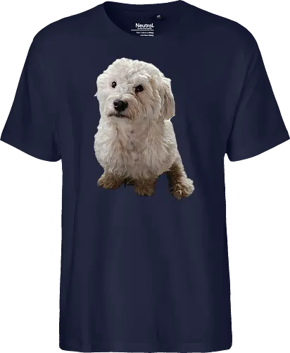 Gimme Gimme