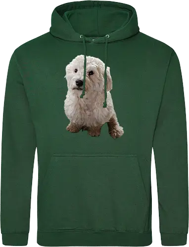 Gimme Gimme