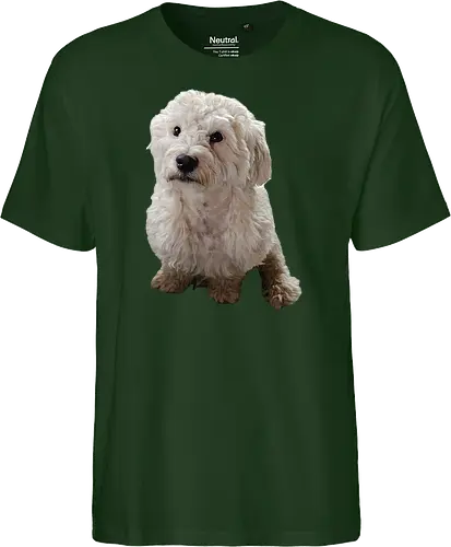 Gimme Gimme