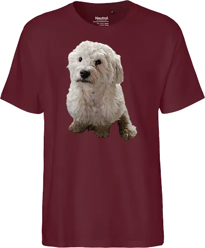 Gimme Gimme