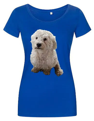 Gimme Gimme