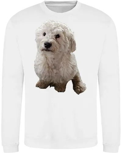 Gimme Gimme
