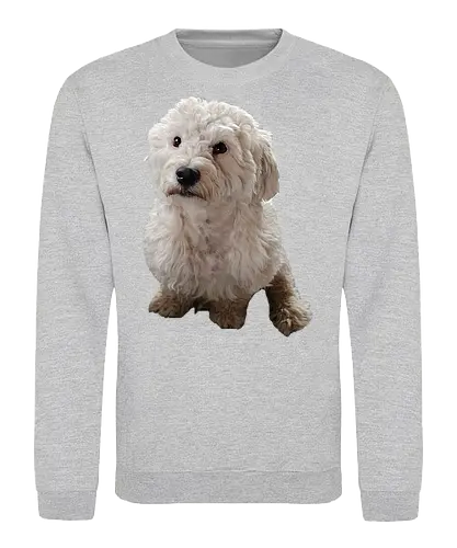 Gimme Gimme - Sweatshirt