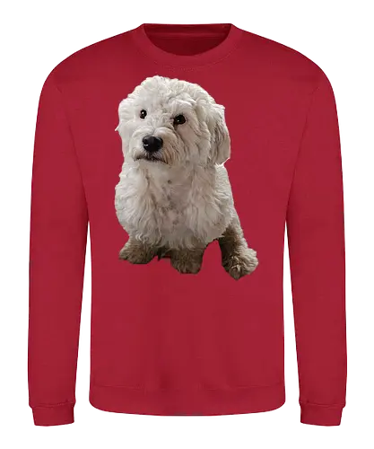 Gimme Gimme - Sweatshirt