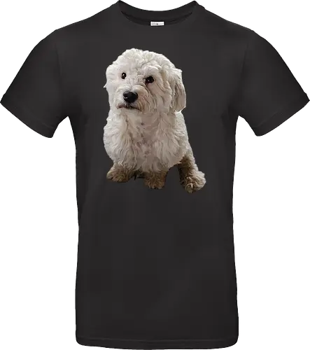 Gimme Gimme