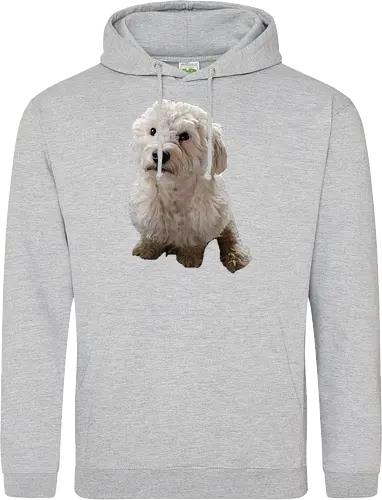 Gimme Gimme