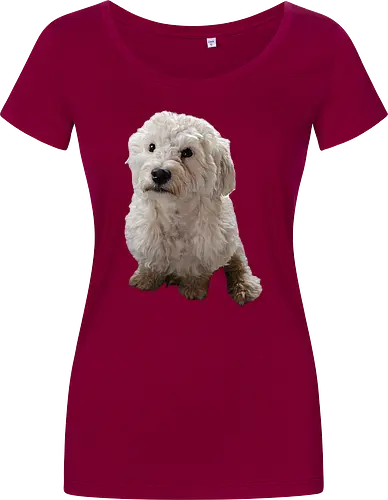 Gimme Gimme