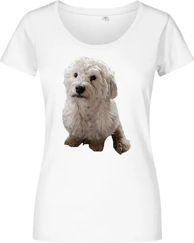 Gimme Gimme