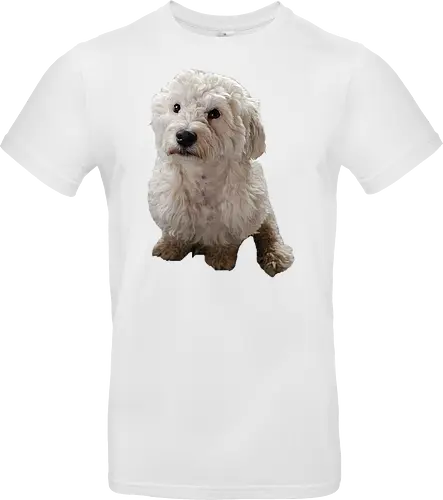 Gimme Gimme
