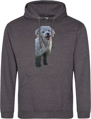 Hey
