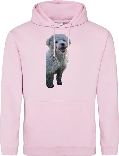 Hey