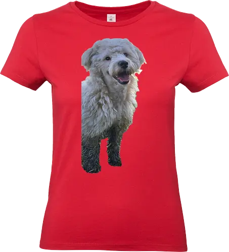 Hey - Standard T-Shirt (Women)