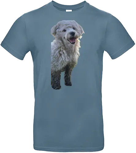 Hey - Standard T-Shirt