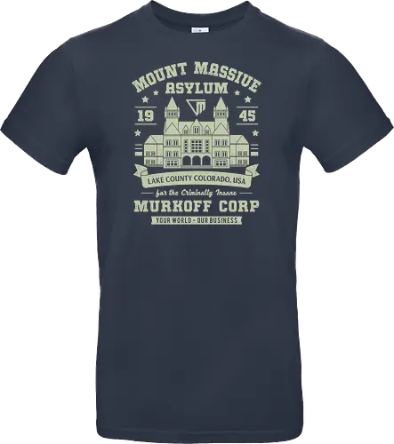 Mount Massive Asylum Vintage